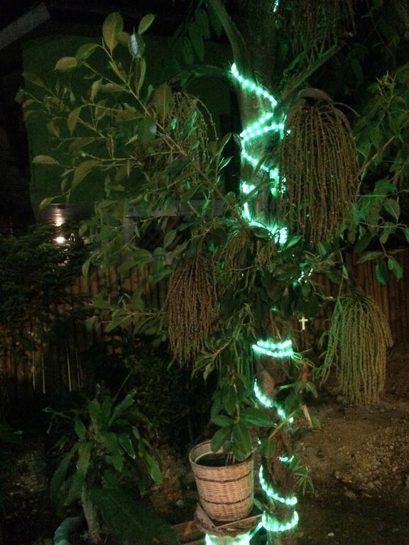 Balabag  Blue Bamboo Hotel מראה חיצוני תמונה