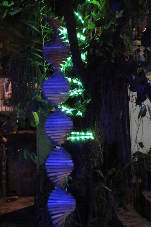 Balabag  Blue Bamboo Hotel מראה חיצוני תמונה